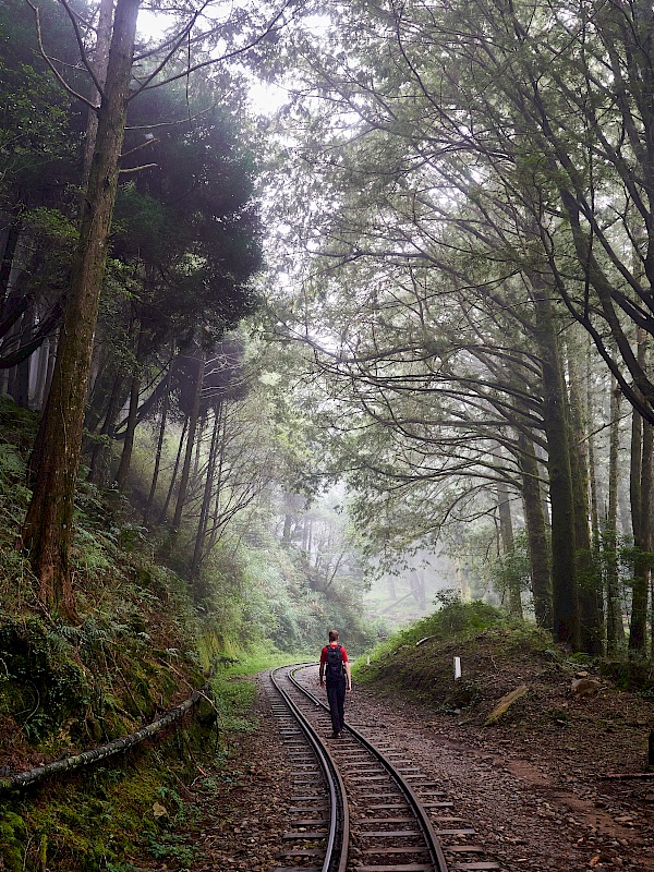 Mianyue Wanderung in Alishan (Taiwan)