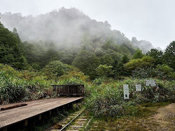 Mianyue Wanderung in Alishan (Taiwan)