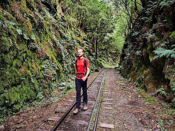 Mianyue Wanderung in Alishan (Taiwan)