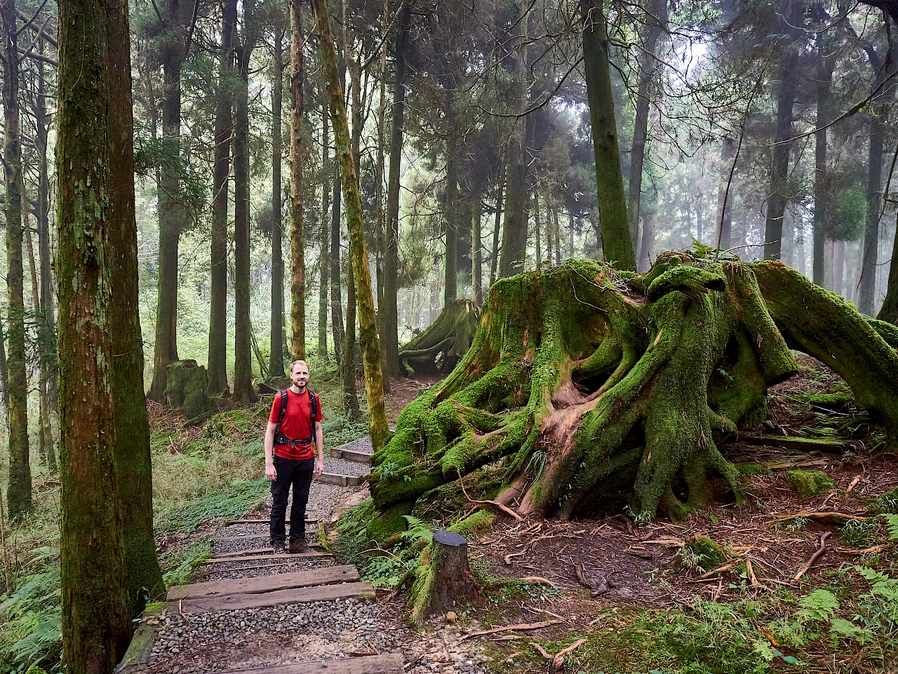 Mianyue Wanderung in Alishan (Taiwan)