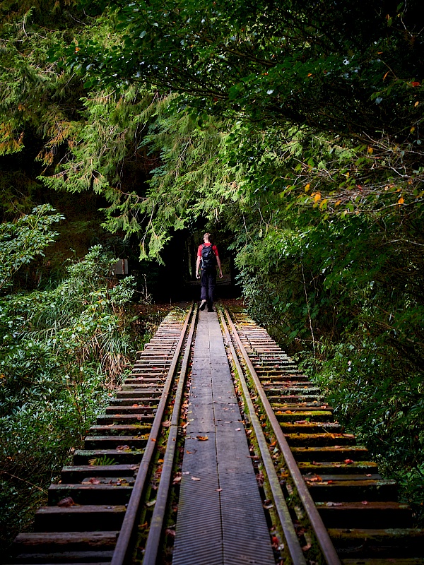 Eisenbahnbrücke auf der Mianyue Wanderung in Alishan (Taiwan)