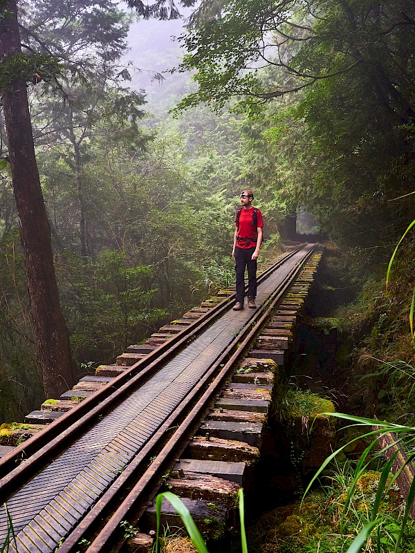 Eisenbahnbrücke auf der Mianyue Wanderung in Alishan (Taiwan)