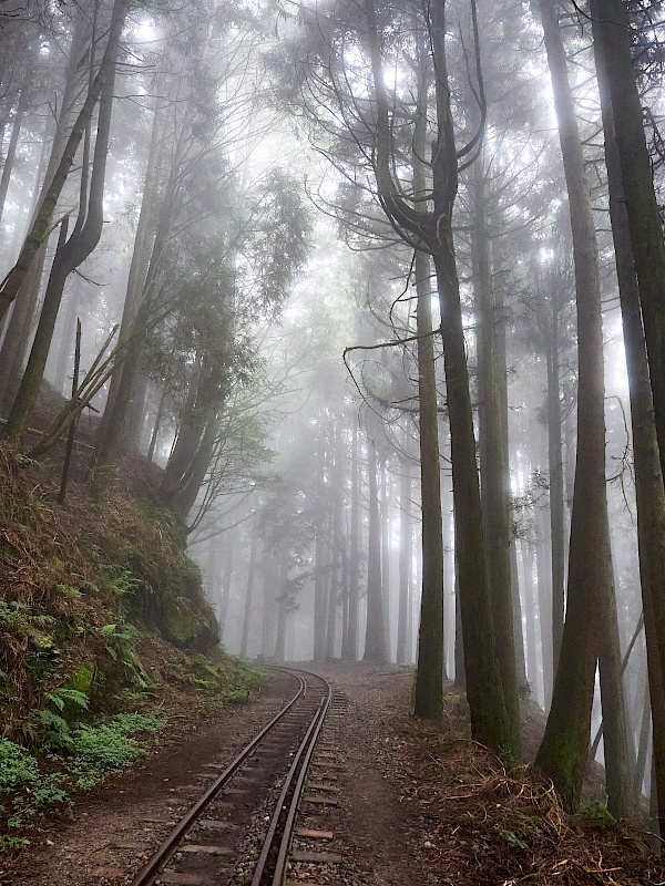 Mianyue Wanderung in Alishan (Taiwan)