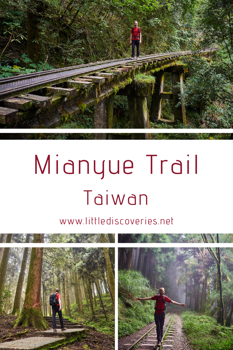 Mianyue Wanderung in Alishan (Taiwan)